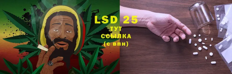 где найти наркотики  Новоалександровск  LSD-25 экстази ecstasy 