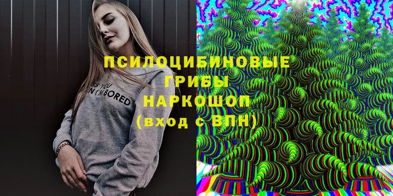 Псилоцибиновые грибы Magic Shrooms  маркетплейс телеграм  Новоалександровск 